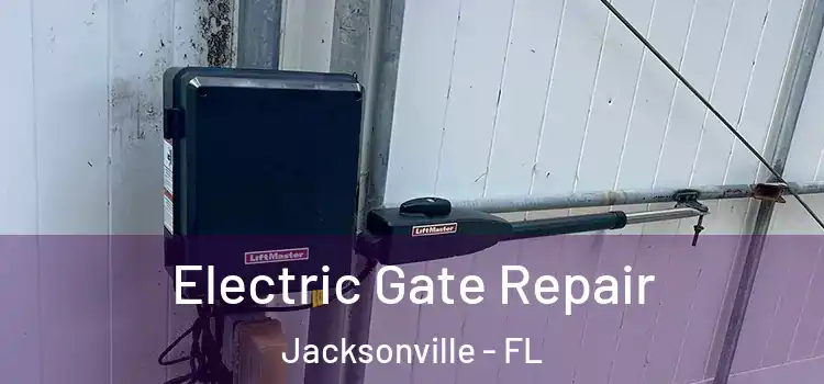  Electric Gate Repair Jacksonville - FL
