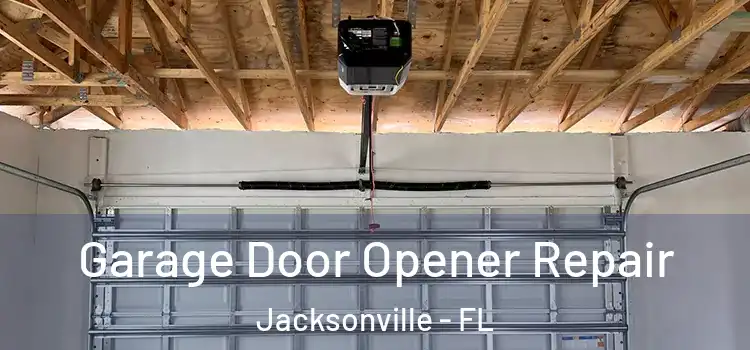  Garage Door Opener Repair Jacksonville - FL